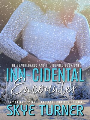 cover image of Inn-cidental Encounter